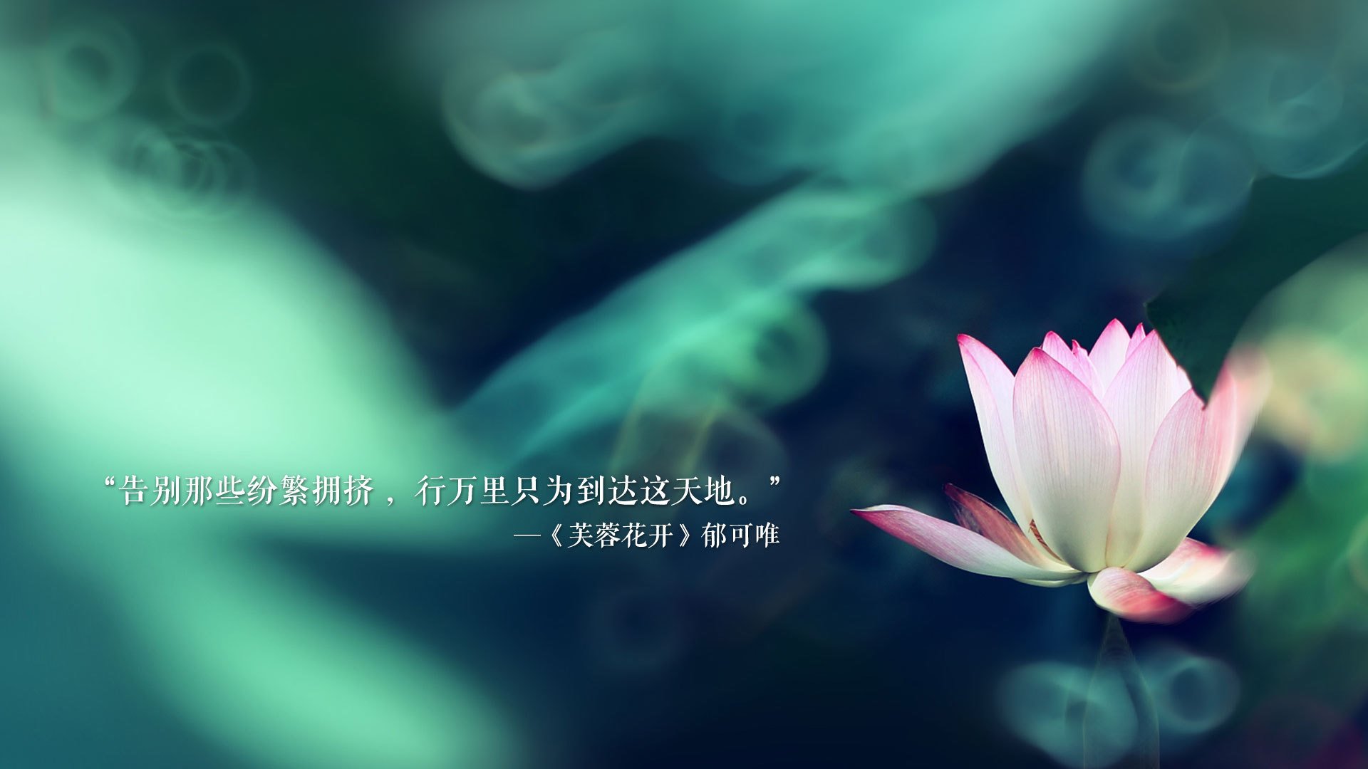 _篮网团队配合丝丝入扣，赛季表现稳健_，篮网队队阵容