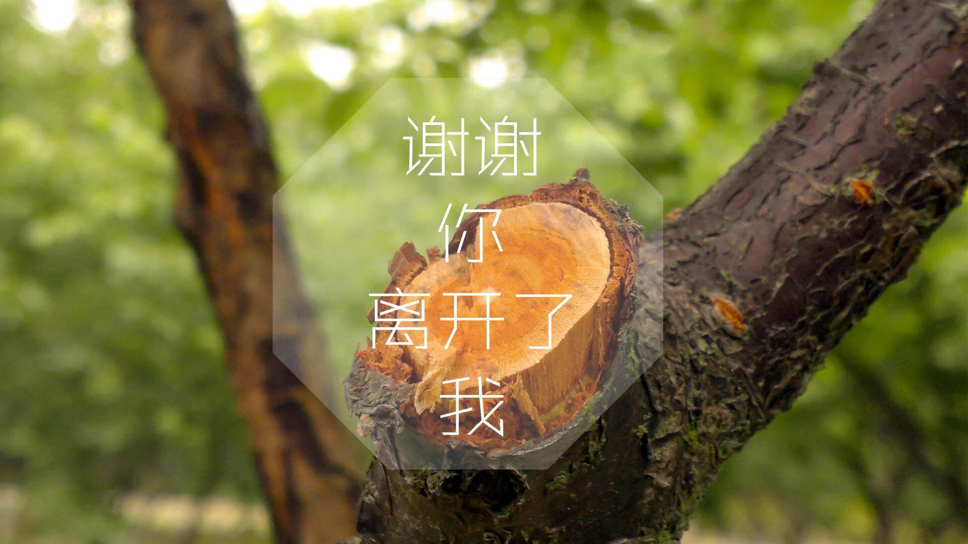 塞内加尔男足在巴黎奥运会上展现出强大的团队协作能力，塞内加尔足球运动员