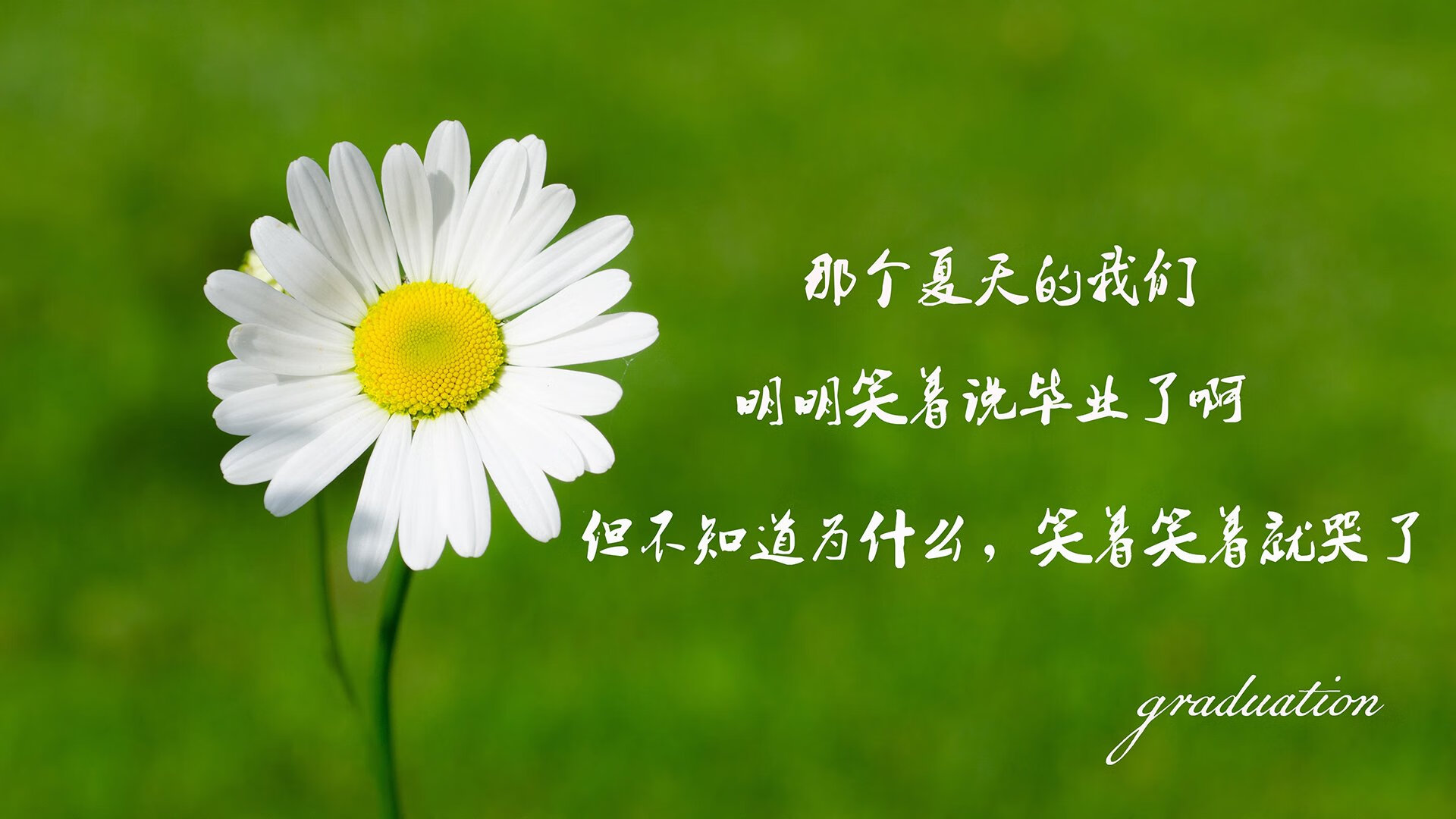 开云官网APP下载-尤文图斯主场完胜热那亚，斩获三连胜，尤文图斯vs热那亚回放