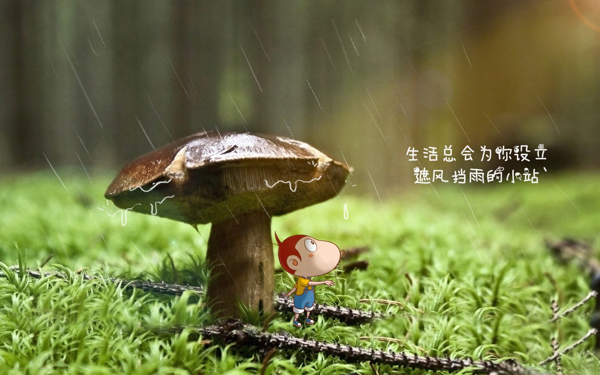 Kaiyun(中国)开云-巴西队在美洲杯中遭遇VAR判罚,进球被判无效,巴西队美洲杯大名单号码