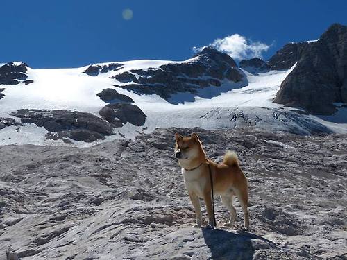 里尔再胜里昂,近期表现持续火爆,里尔vs昂热预测