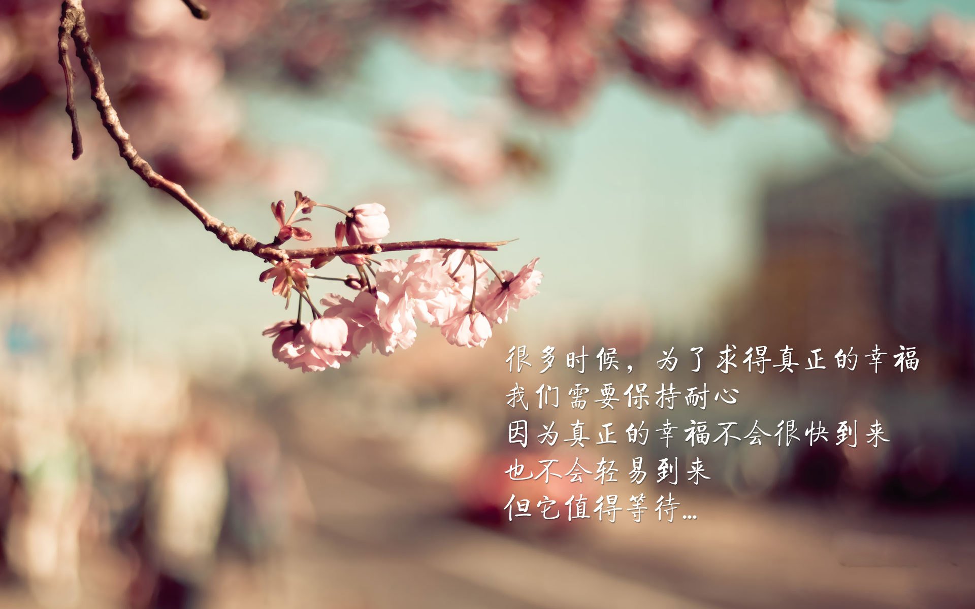 开云入口-霍芬海姆结束连败，客场小胜图卢兹，霍芬海姆vs