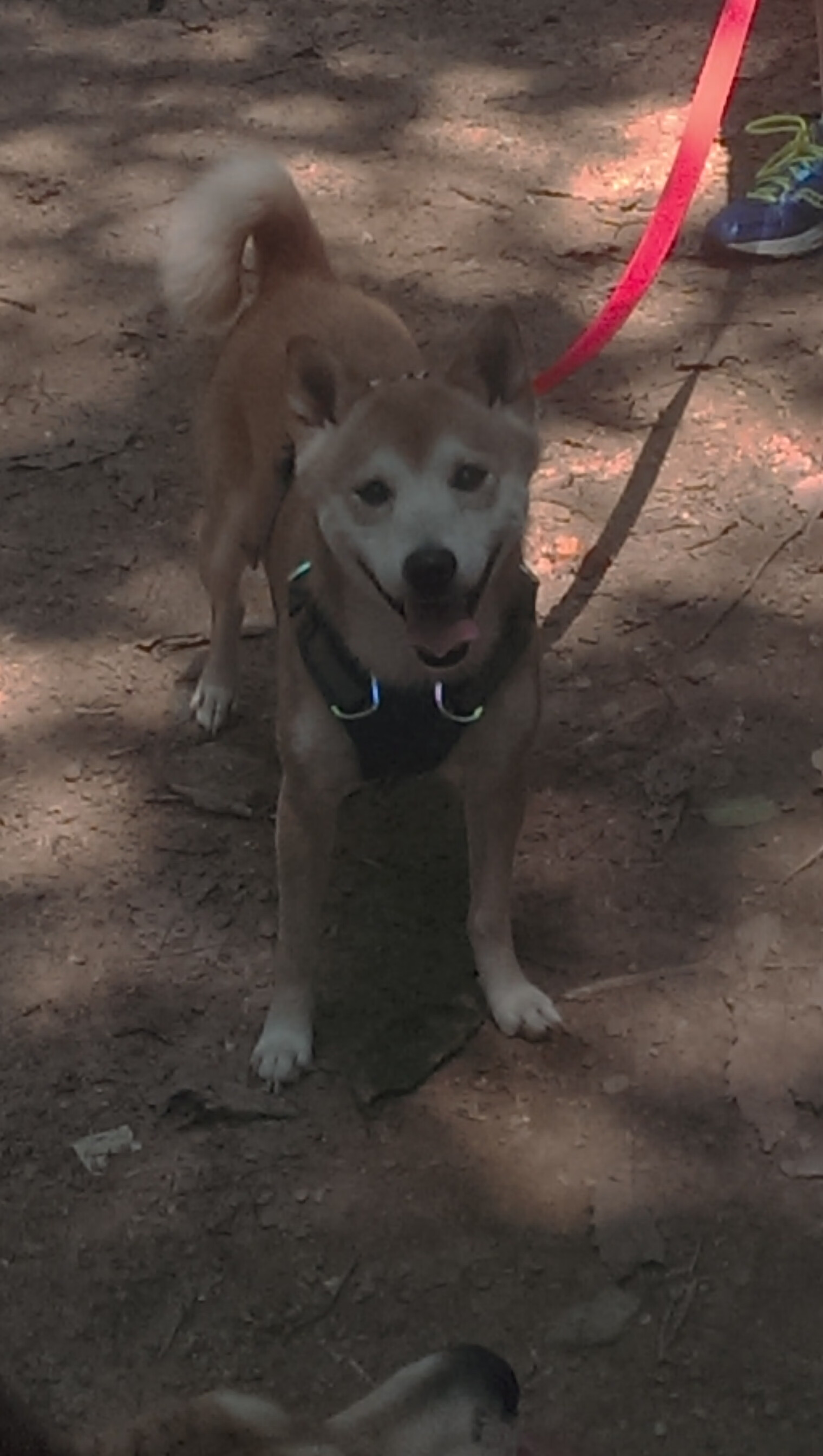 体育新闻中心构建体育赛事数字内容管理体系,体育赛事新闻报道