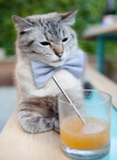 KAIYUN 中国大陆-切尔西主帅：团队配合是胜利关键，切尔西全队