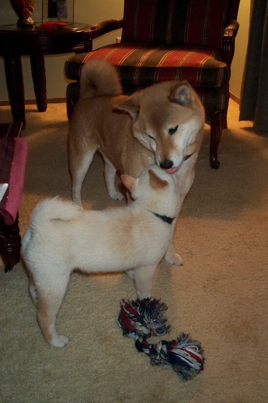 Kaiyun官方登录入口-电子竞技产业发展论坛聚焦未成年人保护，电子竞技青少年