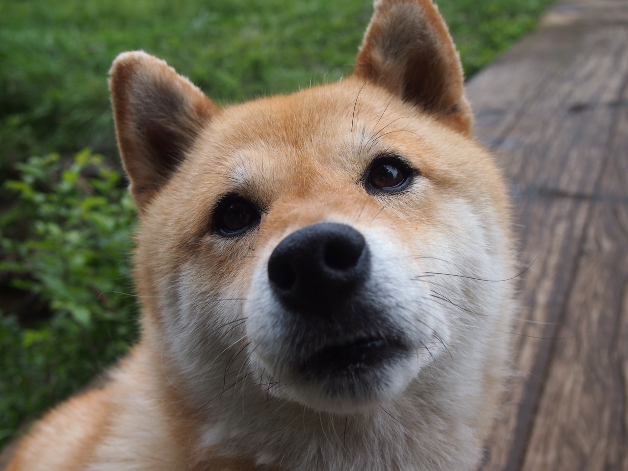 电子竞技产业发展论坛聚焦未成年人保护,电子竞技青少年