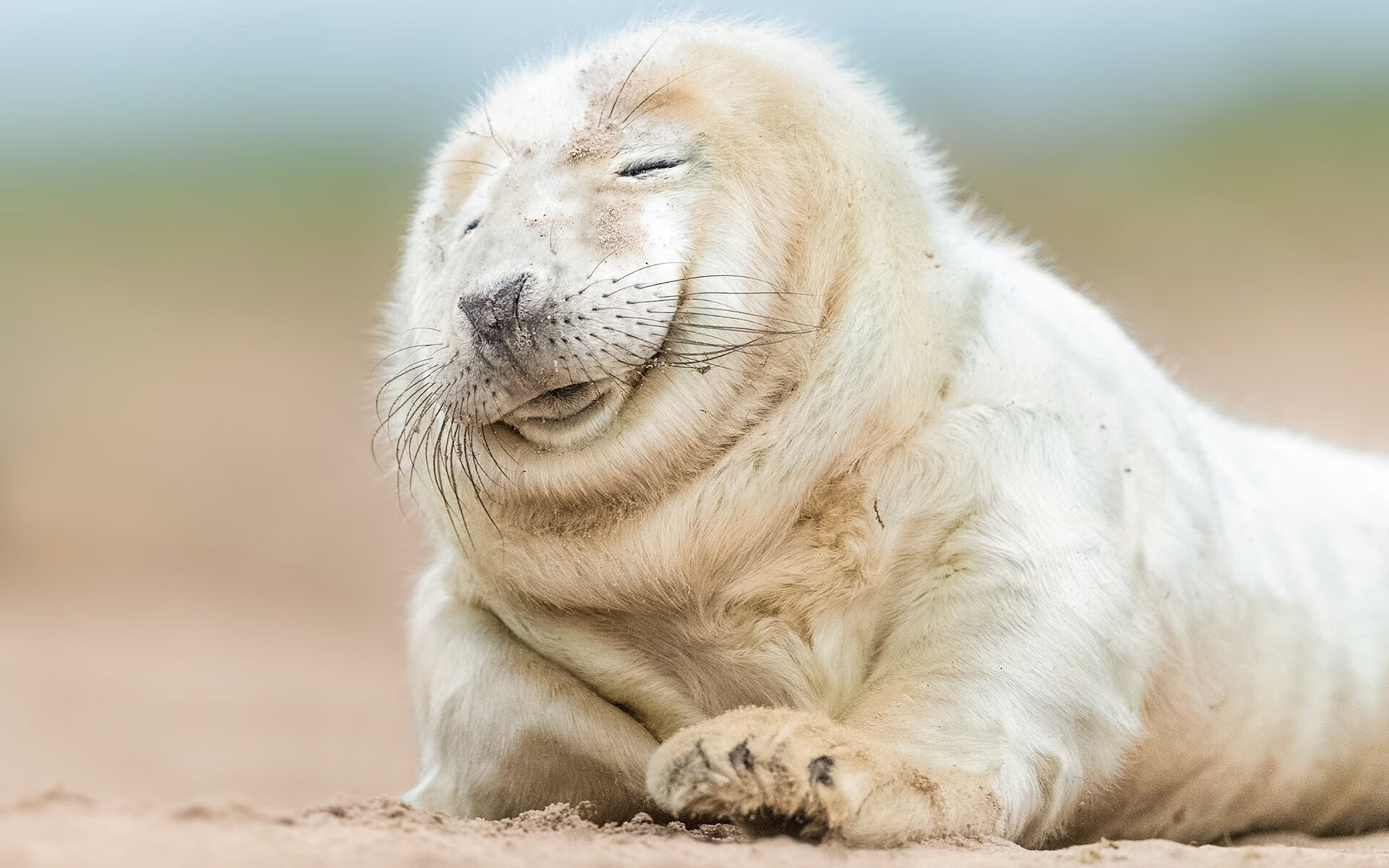 KAIYUN 中国大陆-花样滑冰技术动作不断创新，花样滑冰滑行技术