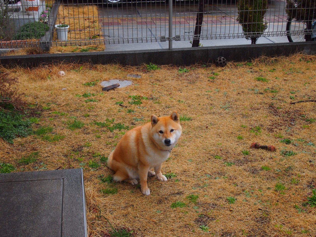 “绿色场馆”成为今年国际足球新关键词，环保标准逐步提升