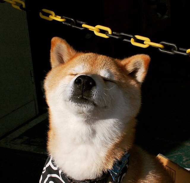 后备力量逐渐成型球队未来发展路径日益清晰,后备力量的定义