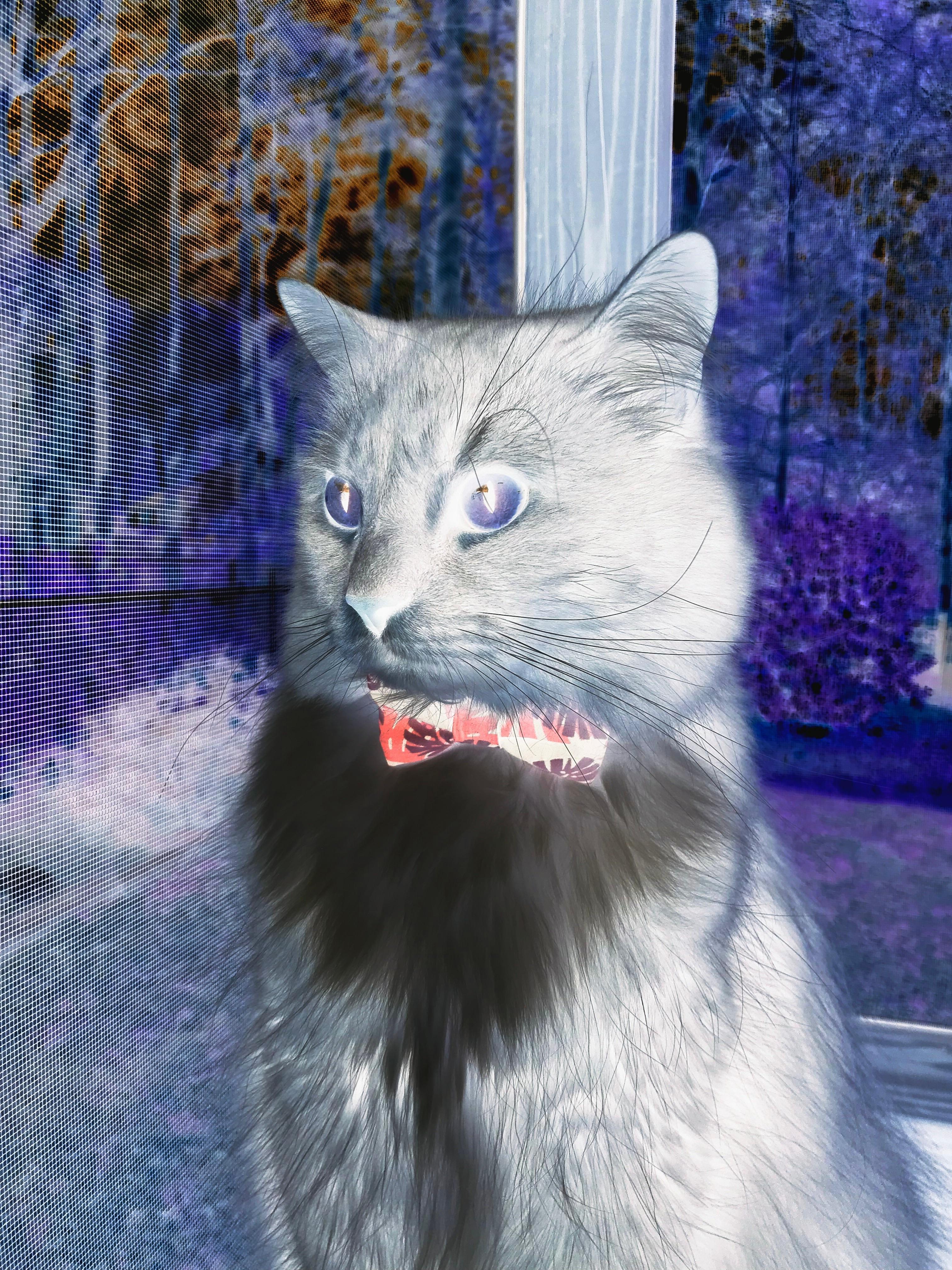 女子篮球青年队注重突破能力提升得分多样化,女子篮球队训练方法