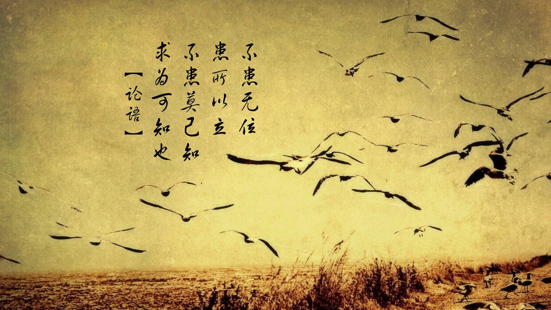 法国新星崭露头角,未来可期