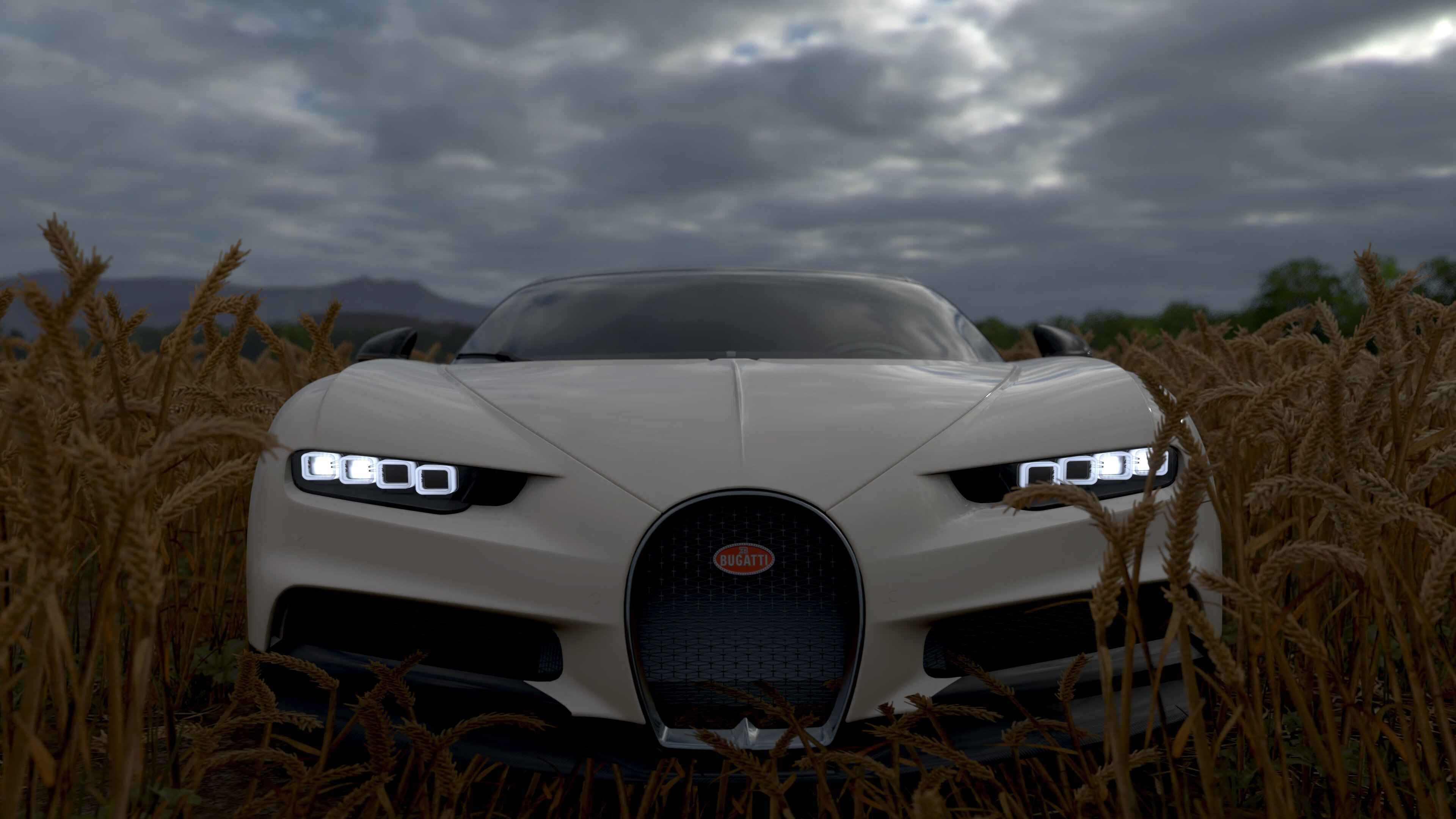 热火球队口号被球迷写进纹身里,热火队的口号中文