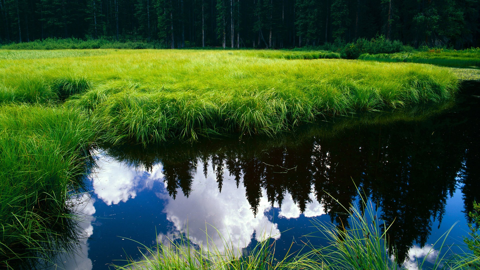 科斯冲刺阶段展现王者气质，科斯什么意思