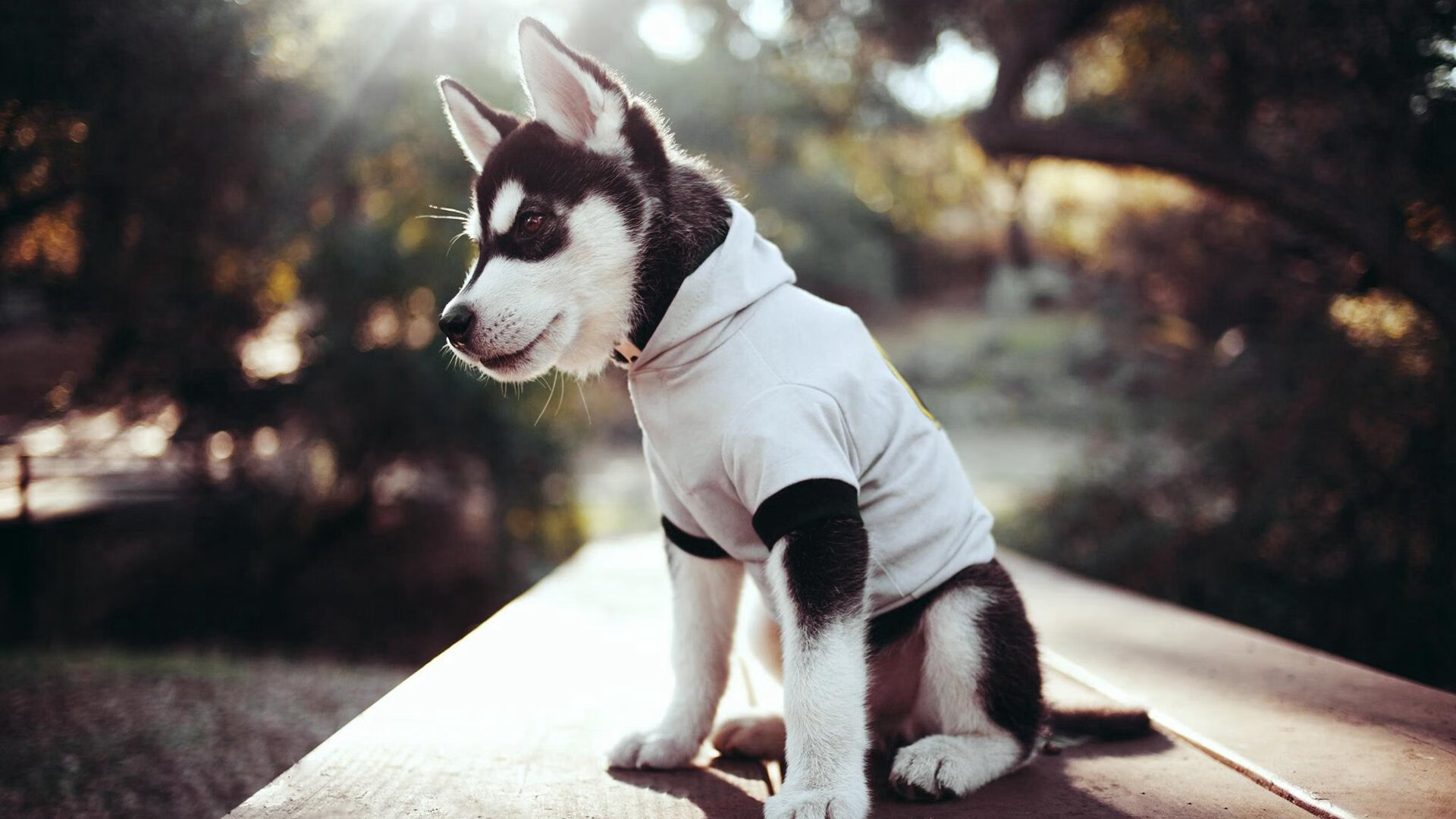 网球教练实训基地落成并对外开放，网球培训基地