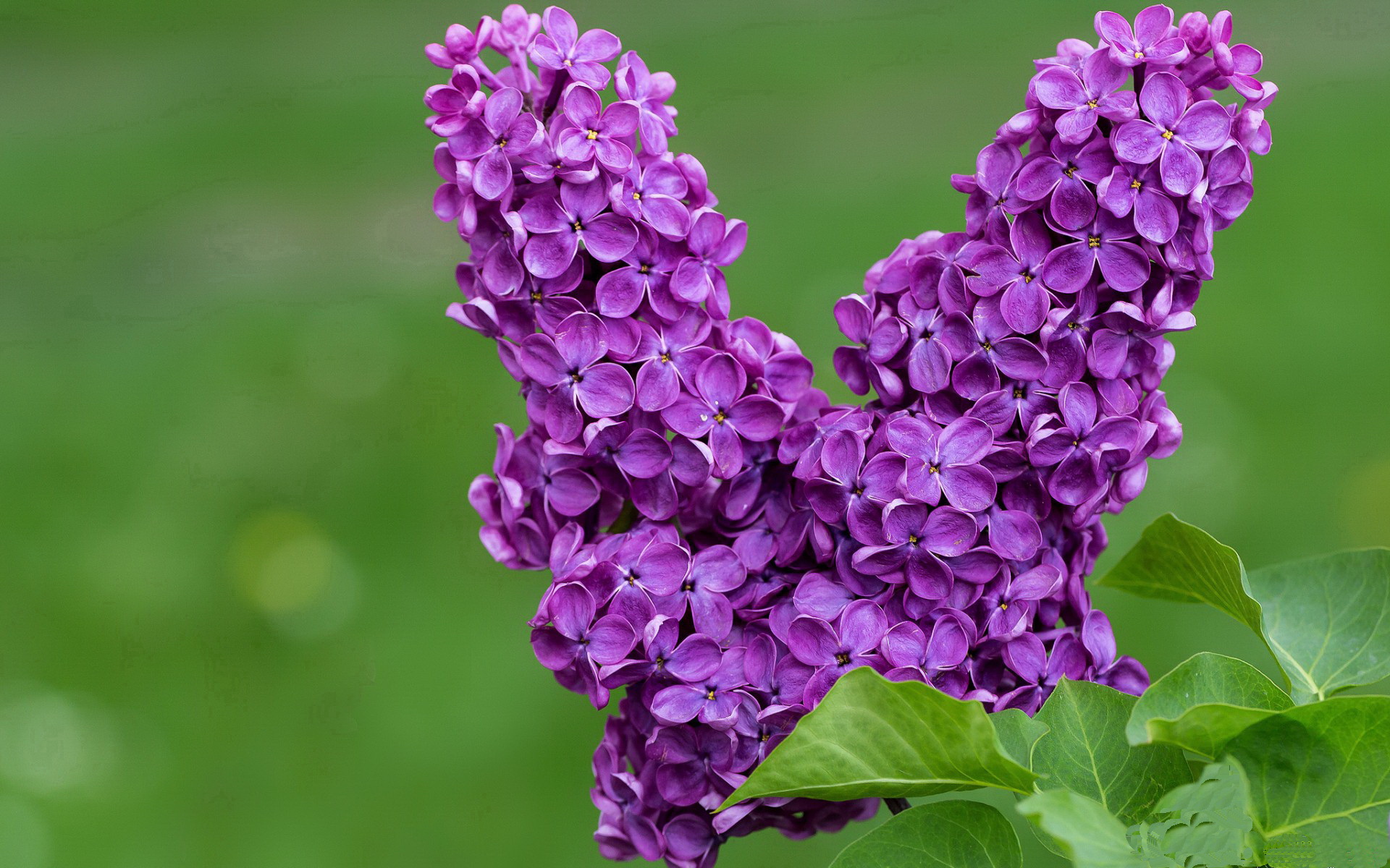 网球教练实训基地落成并对外开放，网球培训基地