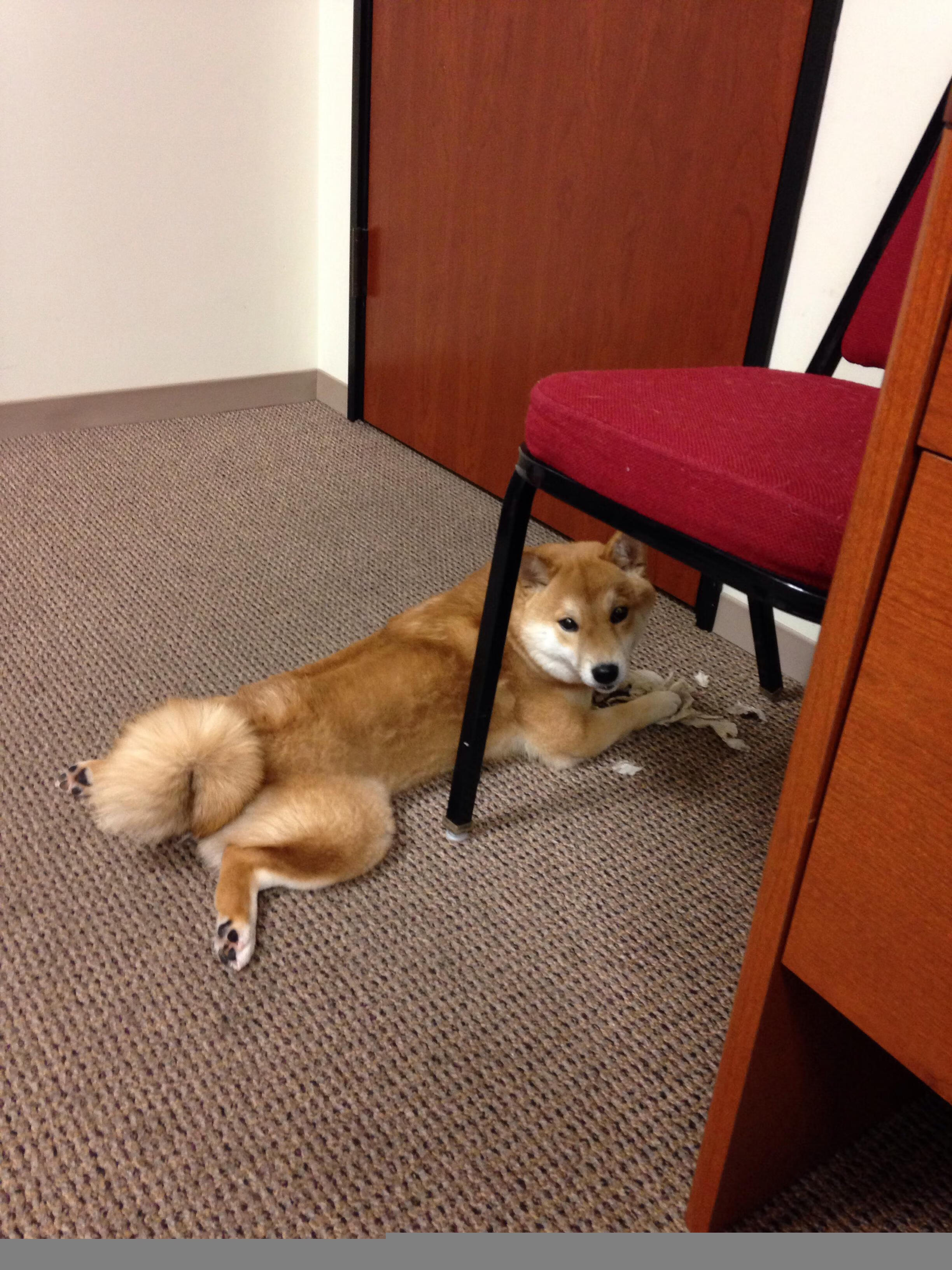 青训基地推广体能与技能同步训练提升综合素质，青少年体育培训推广方案