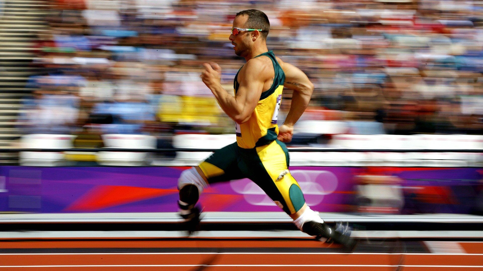 竞技体育选材模型构建与实证研究，竞技体育由运动选材运动训练和运动竞赛三部分构成